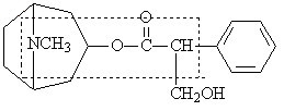 一粒含化消癌疗法3