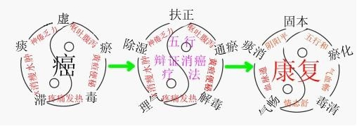 五行辩证靶向消癌疗法