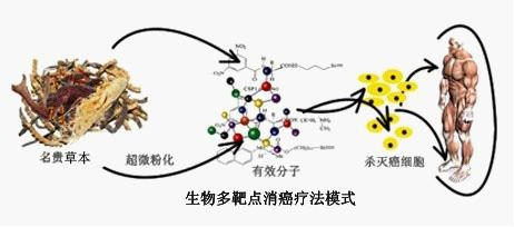 生物多靶点消癌疗法模式