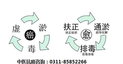 中医抗癌扶正排毒免疫疗法